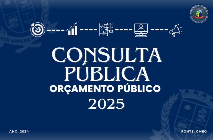 RESULTADO DA CONSULTA PÚBLICA AO ORÇAMENTO 2025